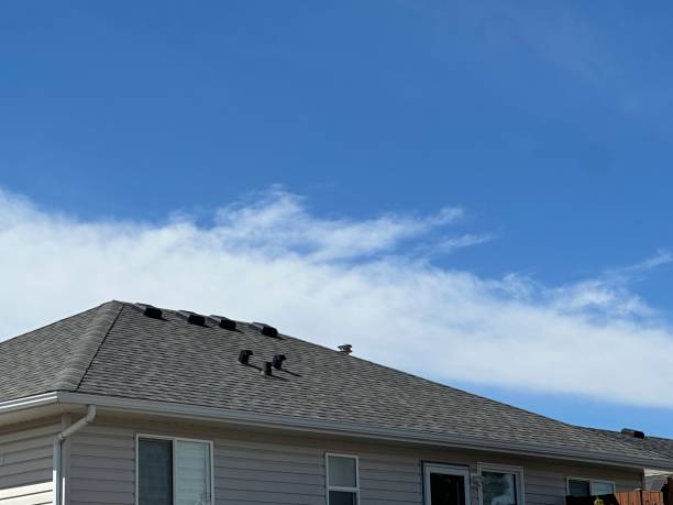 Best Solar Panel Roofing Installation  in Choctaw, OK